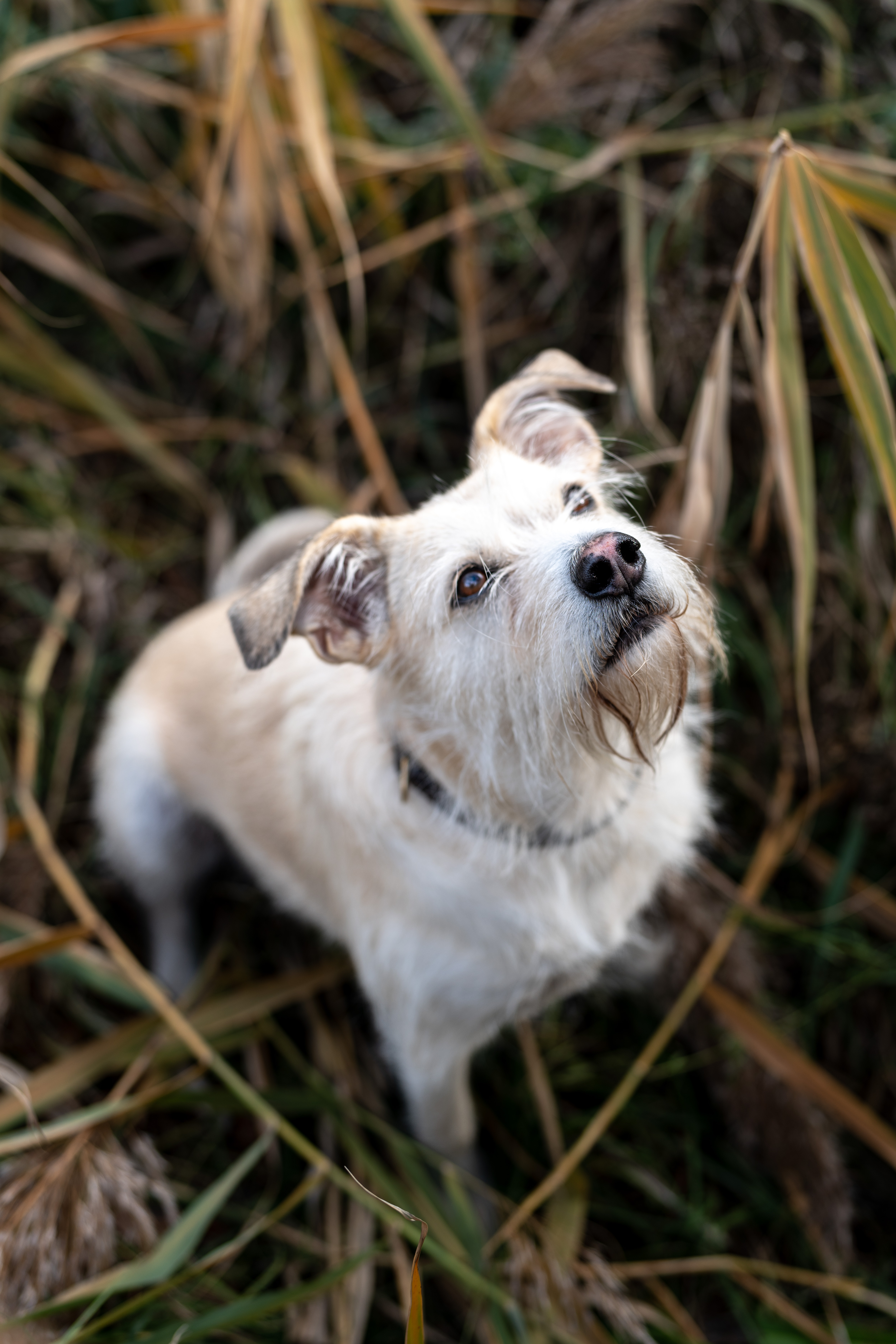 Wilma